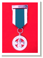The Distinguished Service Medal The Distinguished Service Medal
