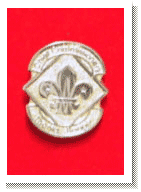 The Chief Commissioner's Thanks Badge The Chief Commissioner's Thanks Badge